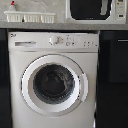 Parrot Building 홈스테이