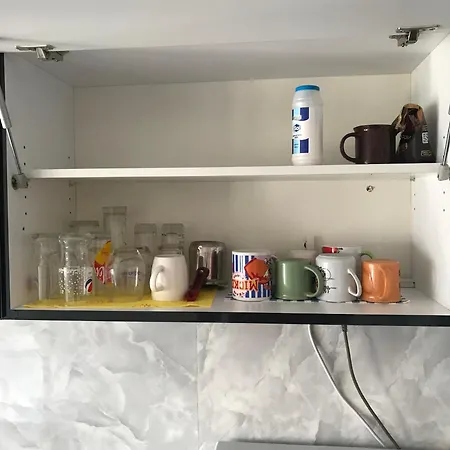 Parrot Building 홈스테이 *