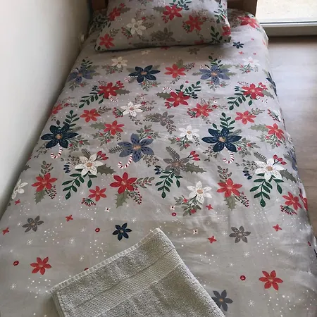 Parrot Building Homestay *