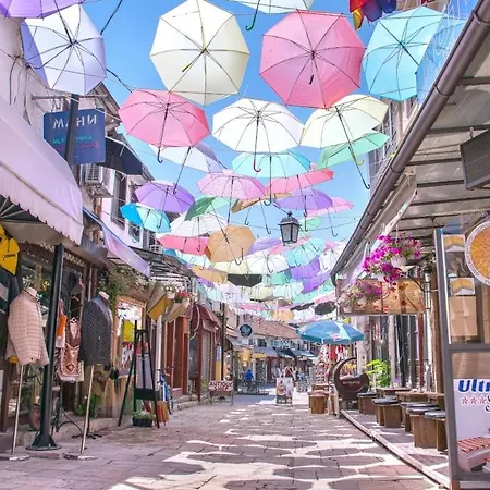 Parrot Building Homestay