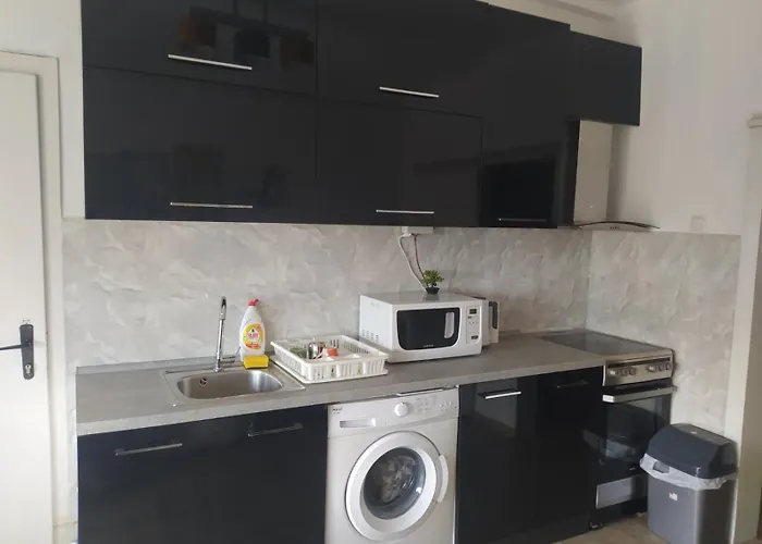 Parrot Building Homestay