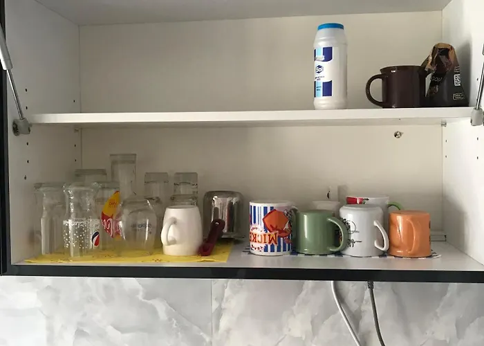 Parrot Building Homestay *