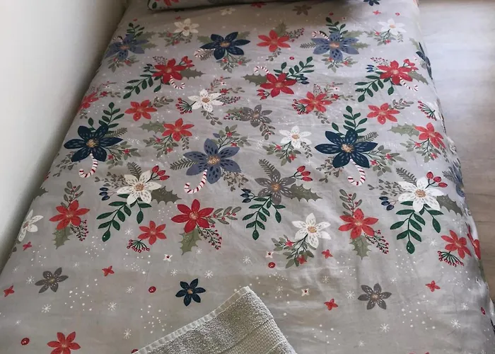 Parrot Building Homestay *