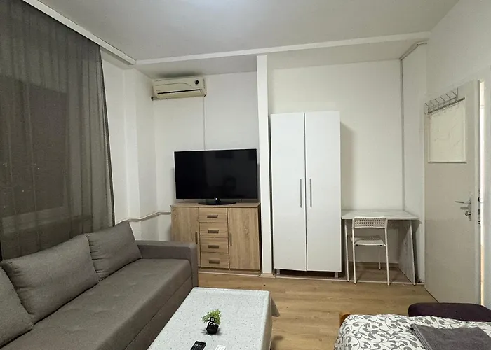 Homestay Parrot Building