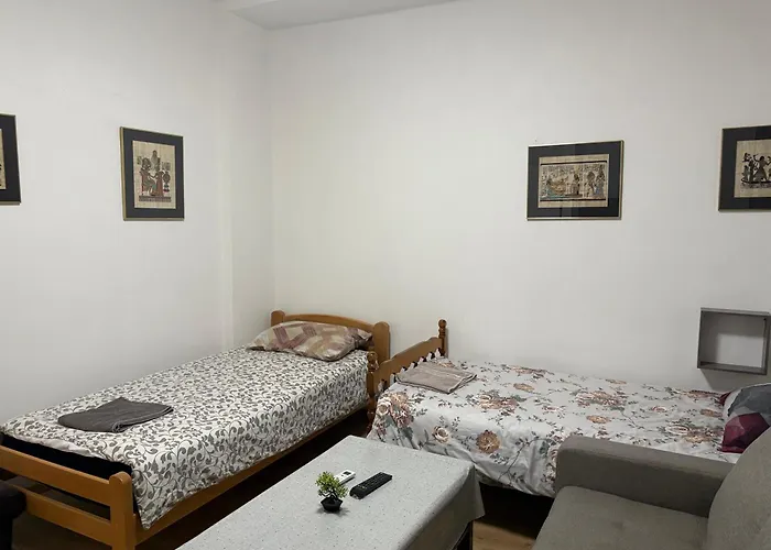 Parrot Building Homestay Skopje